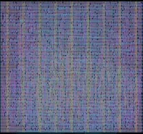 Layout render of wafer.space Logo VGA Screensaver