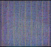 Layout render of wafer.space Logo VGA Screensaver