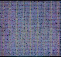 Layout render of wafer.space Logo VGA Screensaver